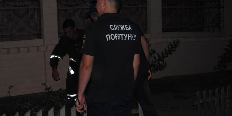 В Николаеве спасатели достали корову из выгребной ямы