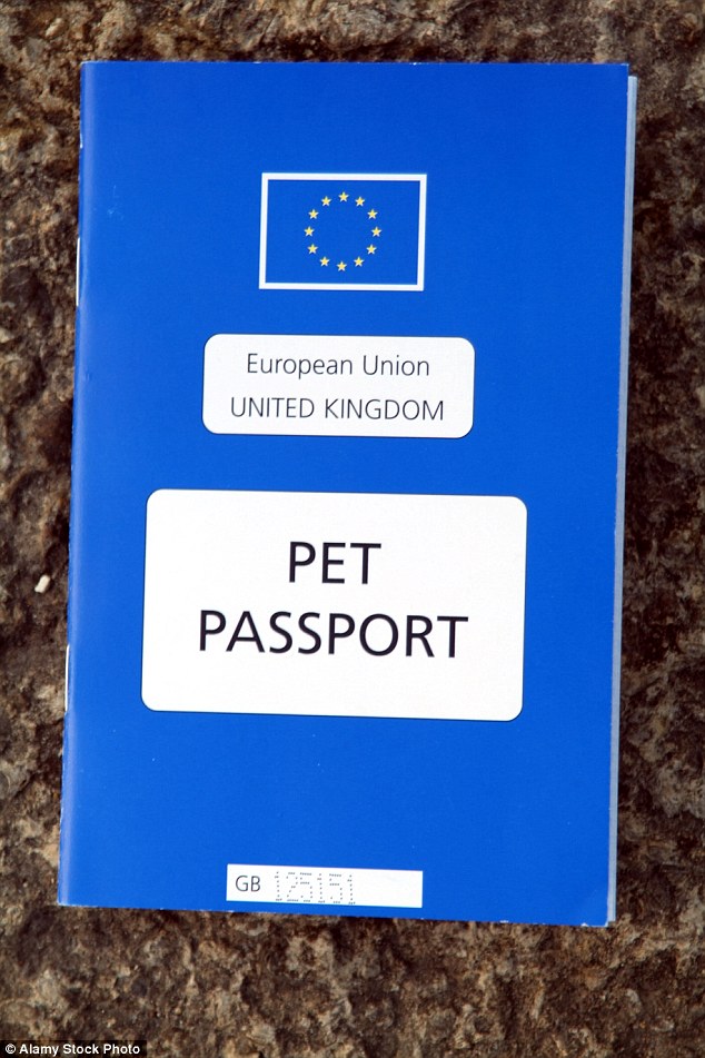 Британец подал заявку на получение своей собакой гражданства Бельгии, чтобы и после Brexit он мог с ней путешествовать по Европе 5