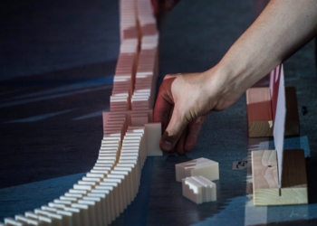 В Германии муха сорвала попытку установить мировой рекорд по самой длинной падающей цепочке мини-домино