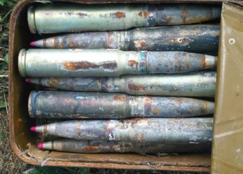 На Николаевщине в лесополосе рядом с полигоном пастух нашел современные боевые снаряды