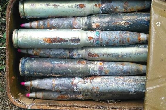 На Николаевщине в лесополосе рядом с полигоном пастух нашел современные боевые снаряды