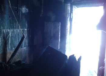 На Николаевщине из-за короткого замыкания машина вспыхнула прямо в гараже