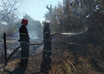 За сутки на Николаевщине выгорело 17 га. И это не только сухостой, а и подожженная кем-то хвойная подстилка