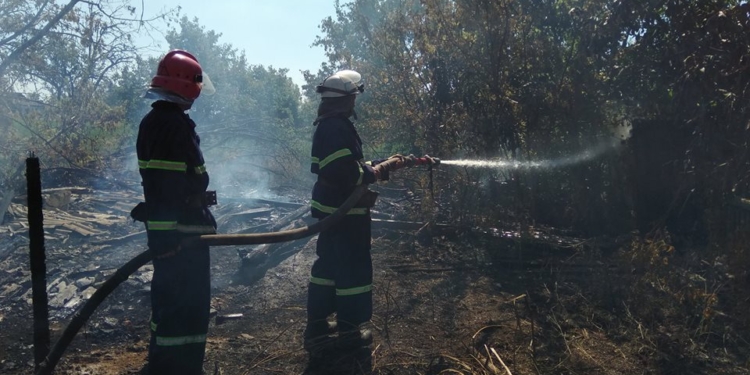 За сутки на Николаевщине выгорело 17 га. И это не только сухостой, а и подожженная кем-то хвойная подстилка