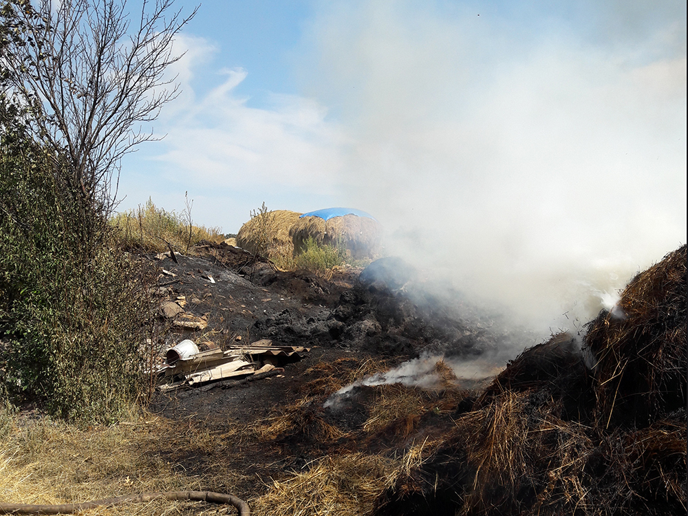 За минувшие сутки на Николаевщине огнем уничтожено 38,2 га открытых территорий 3