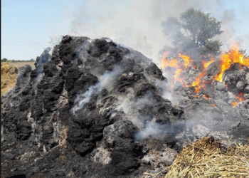 За минувшие сутки на Николаевщине огнем уничтожено 38,2 га открытых территорий