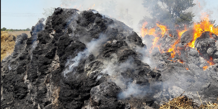 За минувшие сутки на Николаевщине огнем уничтожено 38,2 га открытых территорий