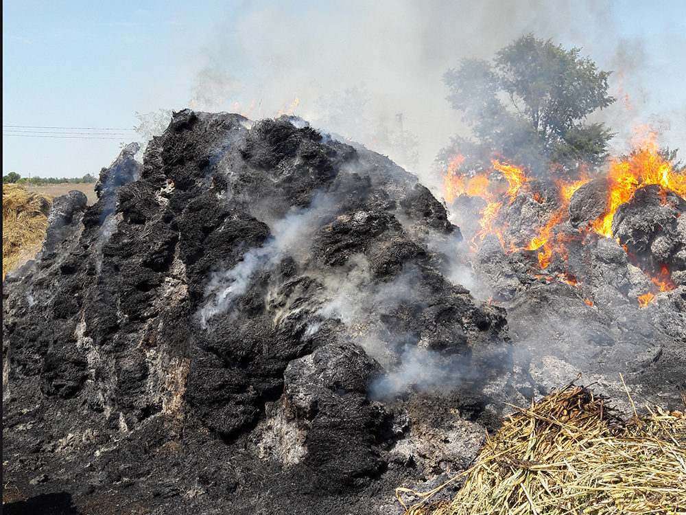 За минувшие сутки на Николаевщине огнем уничтожено 38,2 га открытых территорий 1
