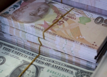 Турция хочет рассчитываться с Украиной в нацвалюте