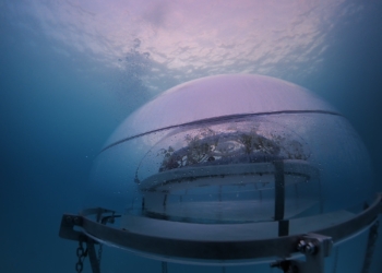 Зачем нам Марс? Итальянцы уже выращивают овощи в подводных теплицах