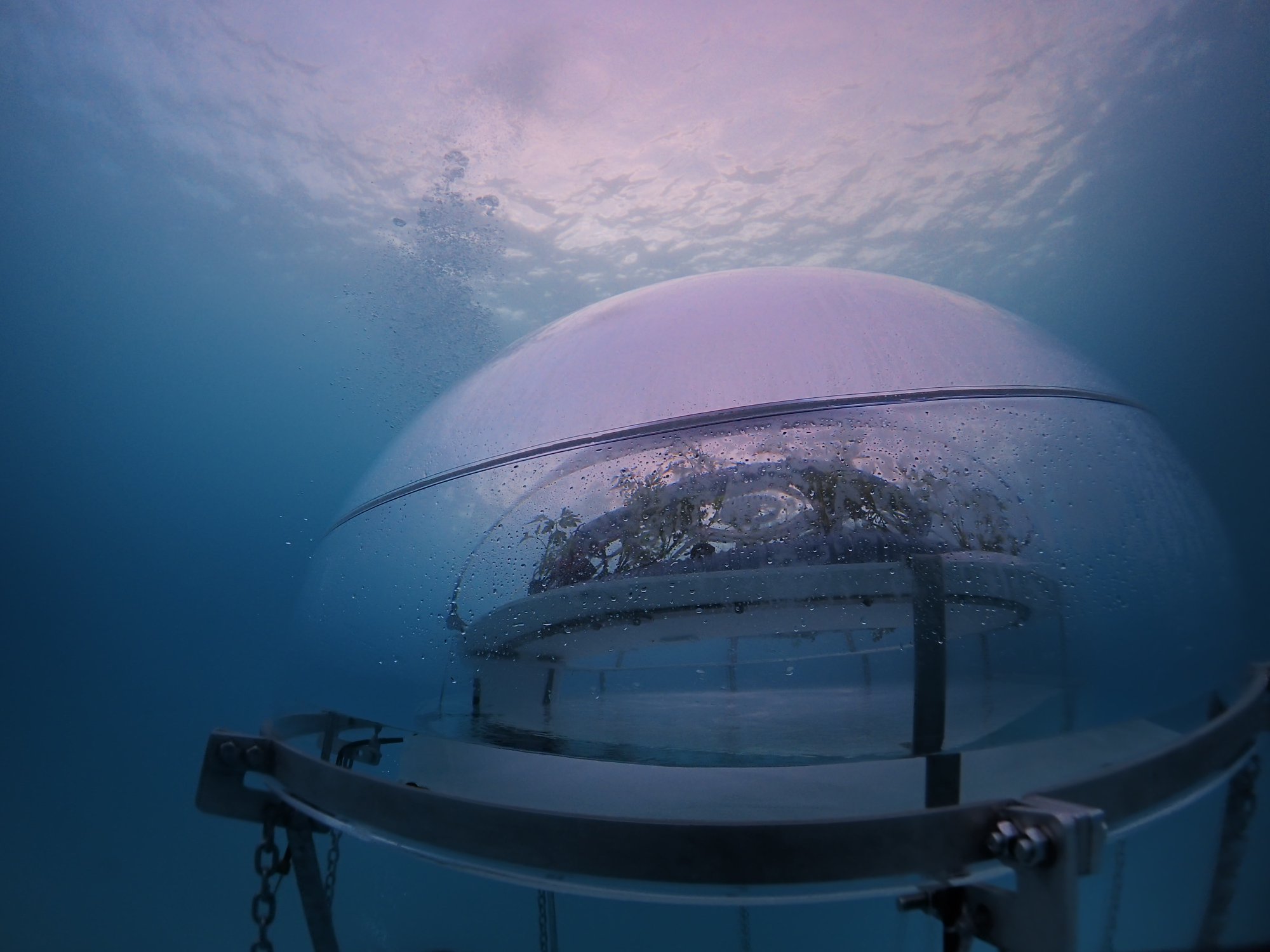 Зачем нам Марс? Итальянцы уже выращивают овощи в подводных теплицах