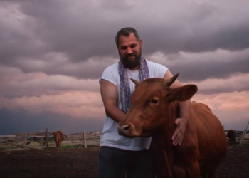 В Николаевской области есть приют для коров – тут их спасают от убоя