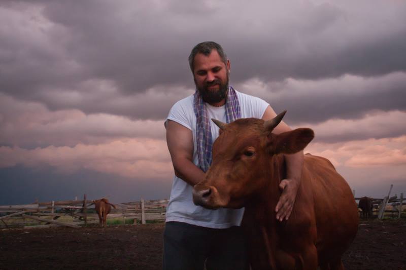 В Николаевской области есть приют для коров – тут их спасают от убоя 5