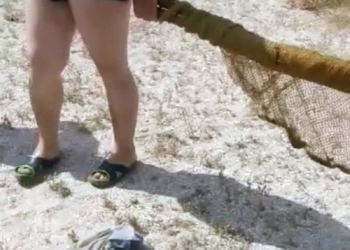 И своих хватает, а тут еще и чужие: на Николаевщине жители Житомирской области незаконно выловили почти 800 бычков