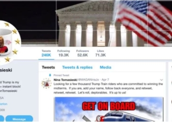 Мечта президента. Старушка-трампобот 14 часов в сутки пиарила Трампа в Twitter совершенно бесплатно