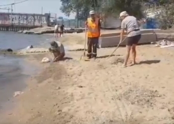 В Мариуполе – массовый замор бычка. Но люди ловят его руками