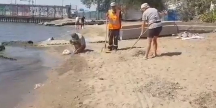 В Мариуполе – массовый замор бычка. Но люди ловят его руками