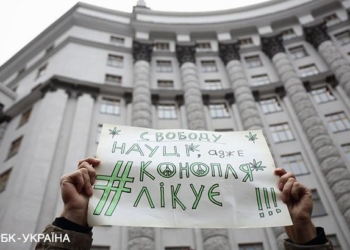 В ООН посчитали употреблявших марихуану украинцев