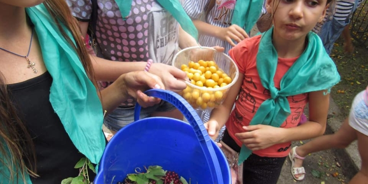 Юных николаевцев научили готовить вкусности для обитателей Николаевского зоопарка