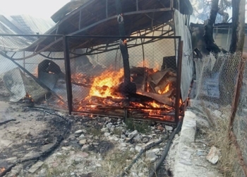 Пожар в Коблево: горят торговые ряды, пострадала женщина