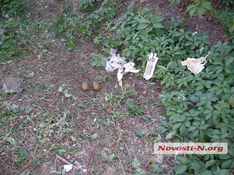 Газонокосильщики нашли возле автозаправки в Николаеве две гранаты 7