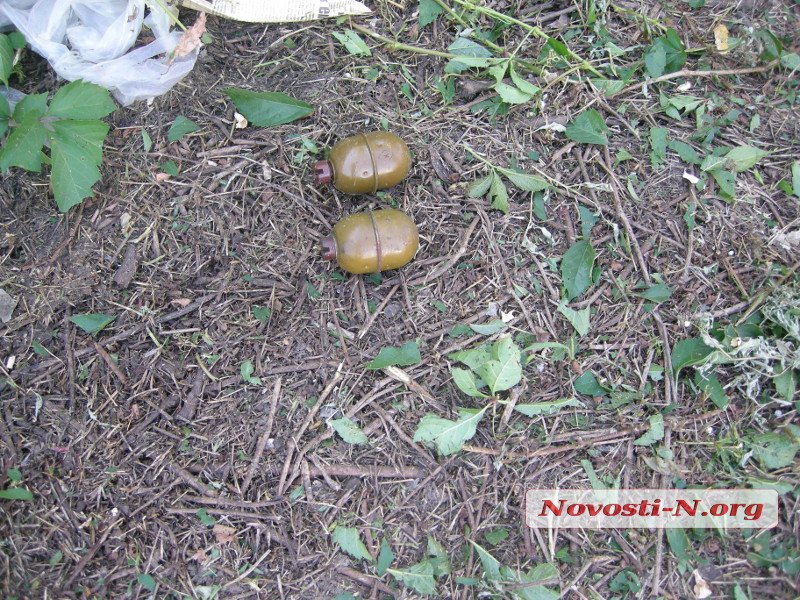 Газонокосильщики нашли возле автозаправки в Николаеве две гранаты 9
