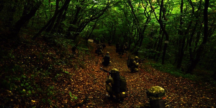 «Зарубежные инструкторы остались в восторге» – николаевские морпехи успешно защитили горный хребет на международных учениях в Грузии