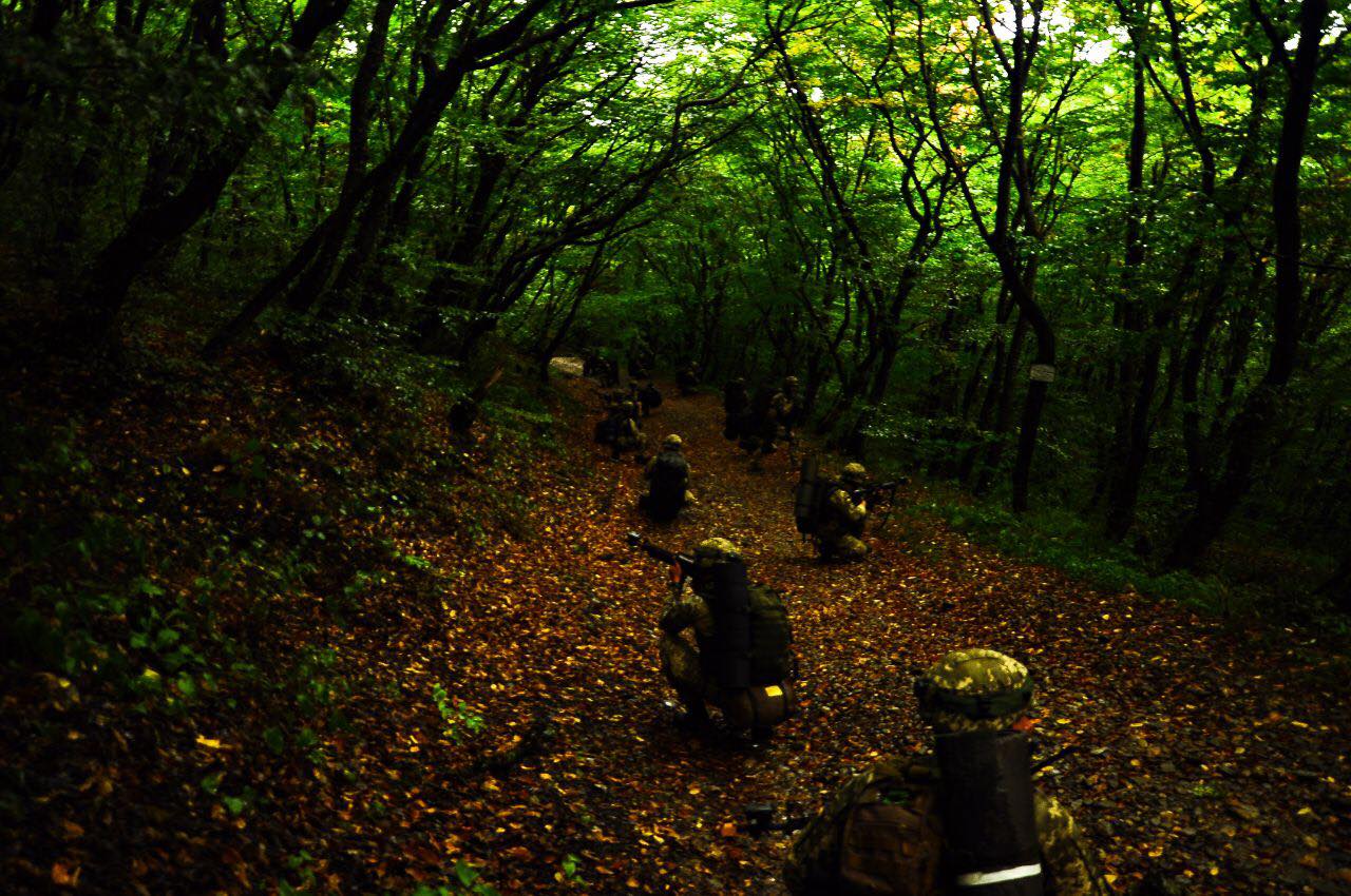 «Зарубежные инструкторы остались в восторге» – николаевские морпехи успешно защитили горный хребет на международных учениях в Грузии