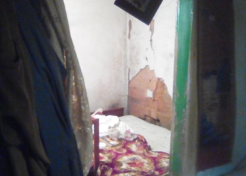 У матери из Николаева могут отобрать двух детей из-за ужасных условий проживания