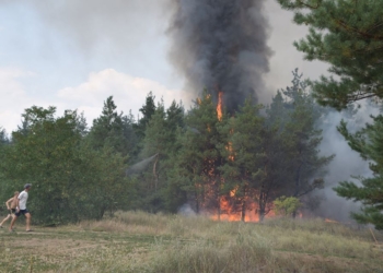 Спасатели уверены: продолжающиеся неделю пожары в Вознесенском районе – результат поджогов