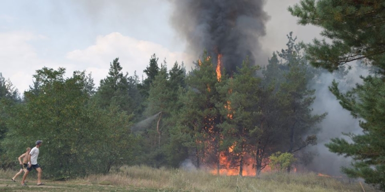 Спасатели уверены: продолжающиеся неделю пожары в Вознесенском районе – результат поджогов