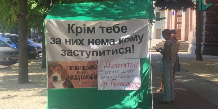 “Депутаты, спасите животных!”: в Николаеве зоозащитники начали акцию за отставку Голобродского