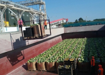 Херсонские арбузы уже в Киеве – баржа “НИБУЛОНа” была в пути 3 суток