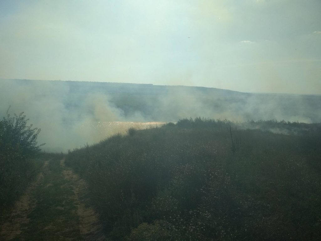 В Балабановском лесу под Николаевом сгорела хвойная подстилка, а в Очаковском районе – 4,5 га сухой травы 7