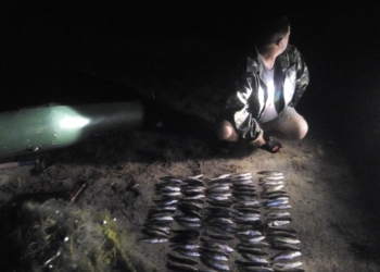 Снова кефаль, снова Тилигульский лиман. Николаевский рыбоохранный патруль поймал очередных браконьеров – взрослого и юношу