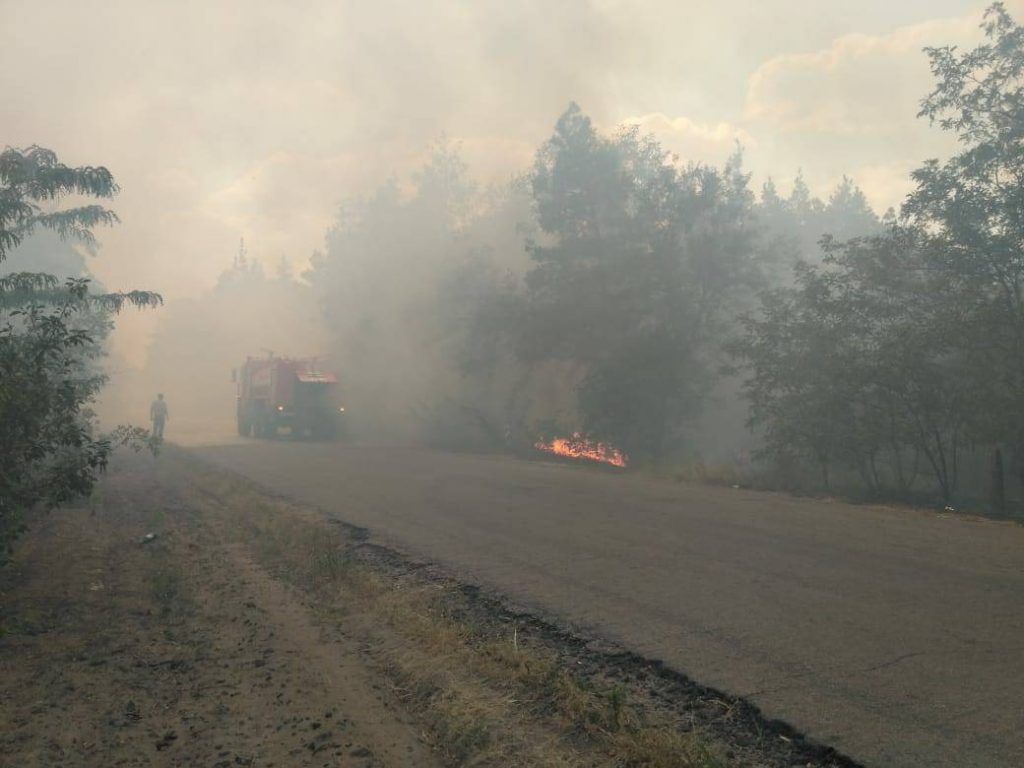На Николаевщине горит лес. Площадь пожара – 3 га 7