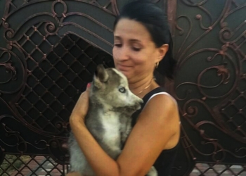 На Закарпатье спасателям пришлось разобрать половину микроавтобуса, чтобы достать щенка хаски