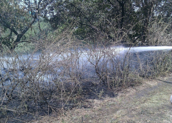 Небрежное обращение с огнем на природе привело к 21 пожару на Николаевщине
