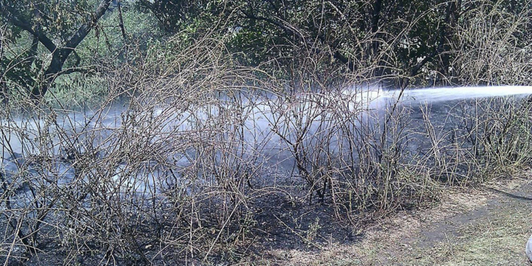 Небрежное обращение с огнем на природе привело к 21 пожару на Николаевщине