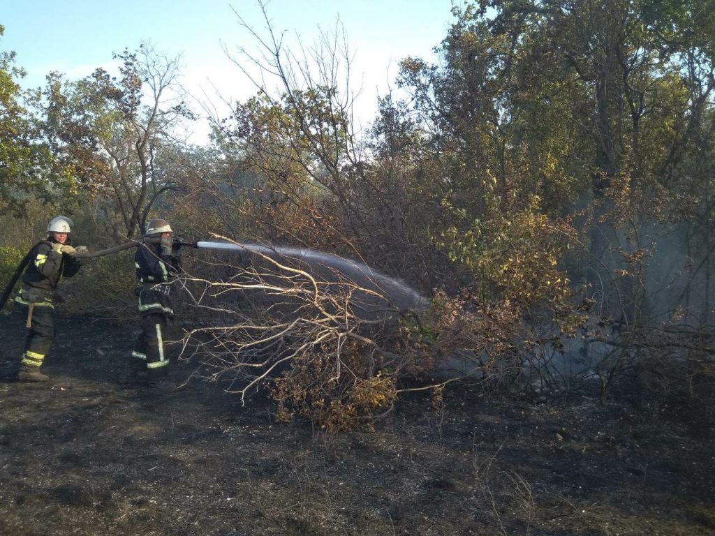 В Вознесенском районе Николаевщины спасатели потушили 3 га леса 1