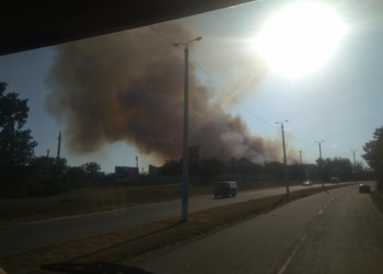 В Вознесенском районе Николаевщины спасатели потушили 3 га леса