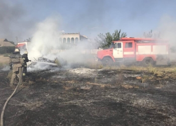 Пожары и поджоги. Почему горят леса и поля в Николаевской области