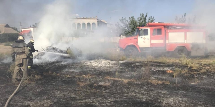Пожары и поджоги. Почему горят леса и поля в Николаевской области