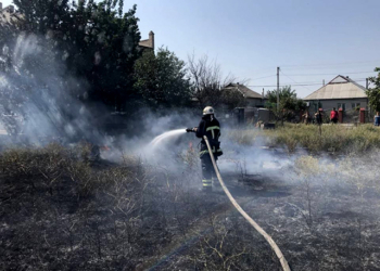 Пожары и поджоги. Почему горят леса и поля в Николаевской области