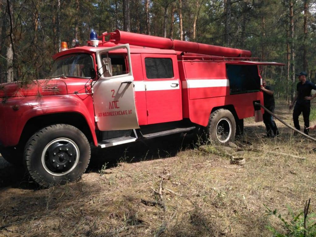 На Николаевщине горит лес. Площадь пожара – 3 га 9