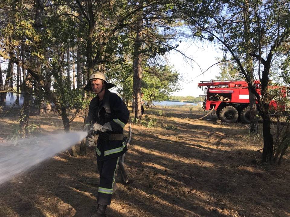 На Николаевщине 4 раза тушили пожары в частном секторе и трижды – в лесах 11