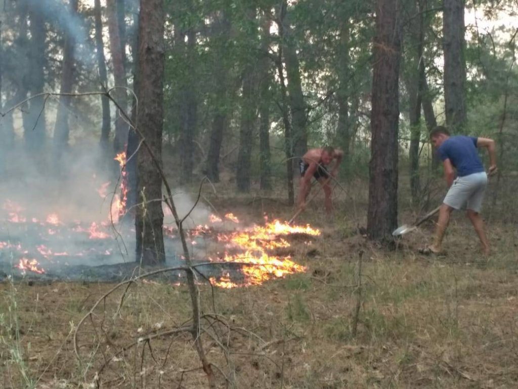 На Николаевщине горит лес. Площадь пожара – 3 га 11