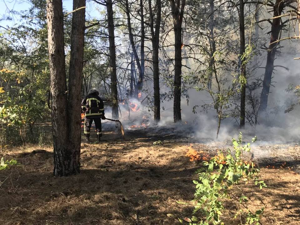 На Николаевщине 4 раза тушили пожары в частном секторе и трижды – в лесах 13