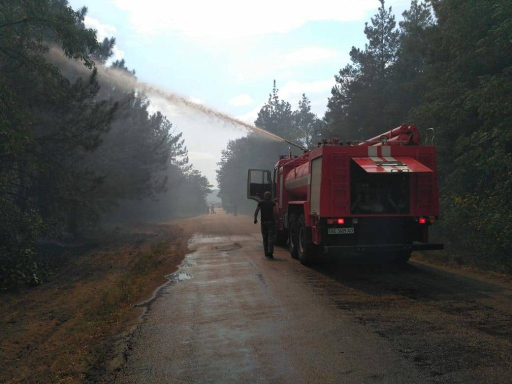 На Николаевщине горит лес. Площадь пожара – 3 га 13