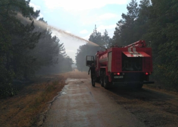 На Николаевщине горит лес. Площадь пожара – 3 га